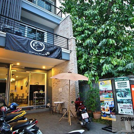 Stranger House Hostel Chiang Mai Exterior foto